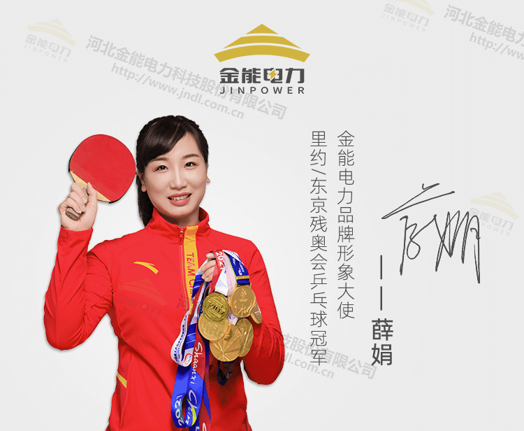 全新升級編織無(wú)氧銅高壓接地線(xiàn)_13.png